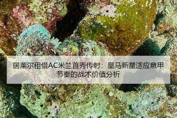 ju-lai-er-zu-jie-mi-lan-shou-xiu-chuan-she-huang-ma-xin-xing-shi-ying-yi-jia-jie-zou-de-zhan-shu-jia-zhi-fen-xi-3-368.jpg